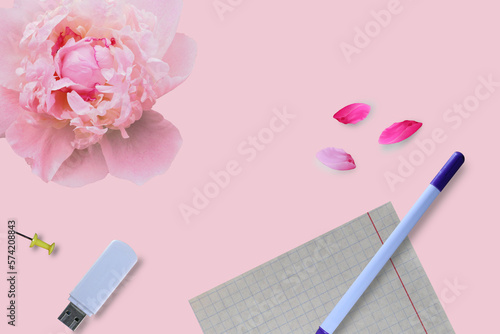 Feminine workspace: blank sheet of paper, pen, flash drive. Pink peony and petals on pink background. Top view.