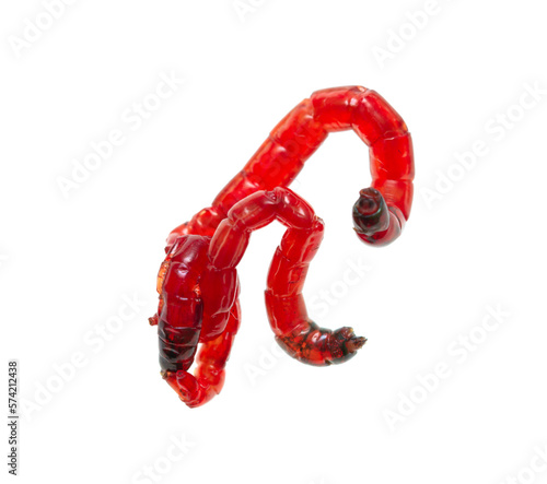 red worms for fishing bait on a white background