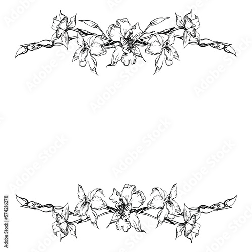 Hand drawn vector ink orchid flowers and branches, monochrome, detailed outline. Horizontal frame composition. Isolated on white background. Design for wall art, wedding, print, tattoo, cover, card.