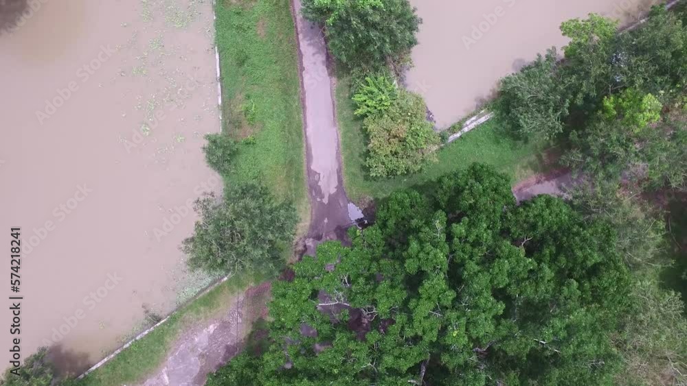the movement of the drone camera drops below, with views of trees, rivers and roads, and people passing by on bicycles. the movement of the drone camera drops below, with views of trees, rivers and roads, and people passing by on bicycles.