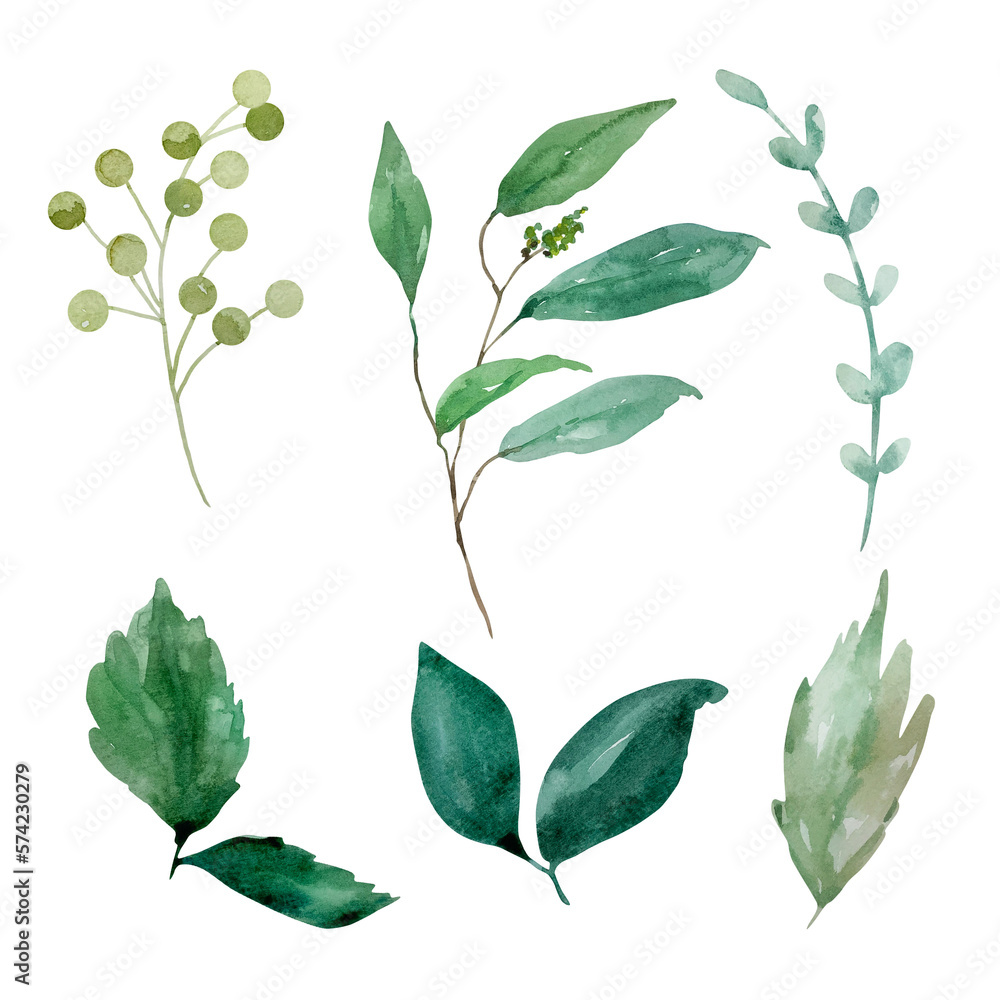 Obraz premium Watercolor branches with green leaves, botanical