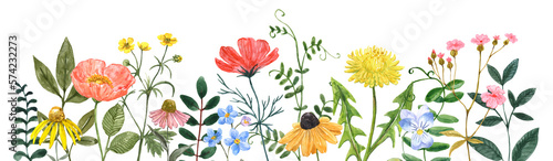 Wildflower border, watercolor illustration. Pretty and colorful floral frame. Botanical invitation template on transparent background. Summer meadow flowers painting. PNG clipart.