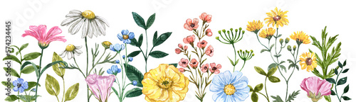 Floral border. The watercolor illustration features assorted wildflowers, grass, and greenery—a colorful flower painting. Botanical frame. PNG clipart.