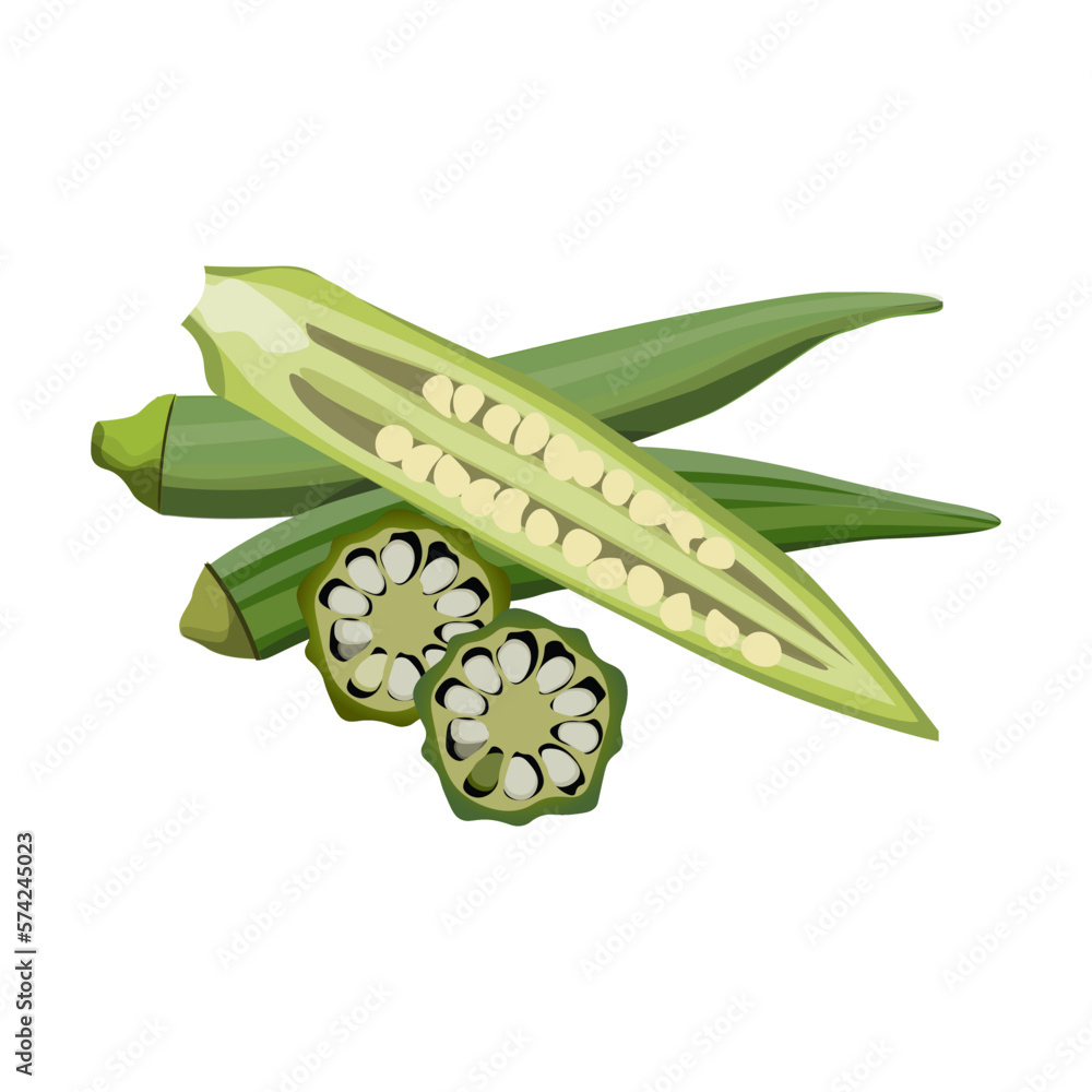 Vegetable, Illustration of Hand Drawn Sketch Okra or Lady Finger Plants  with Buds and Okra Baby Isolated on White Background Stock Vector Image &  Art - Alamy