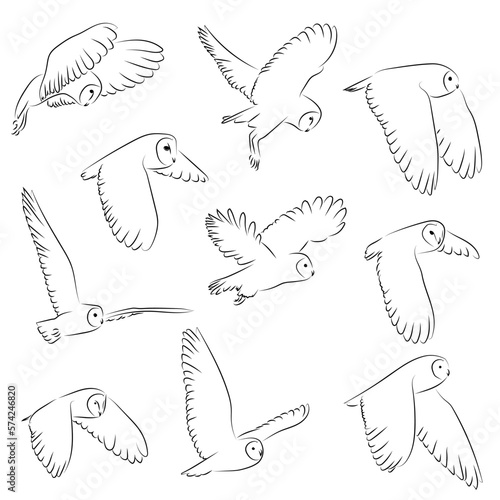 10 Fliegende Eulen Lineart Vektor Zeichnungen | Flying Owls Vector Drawings