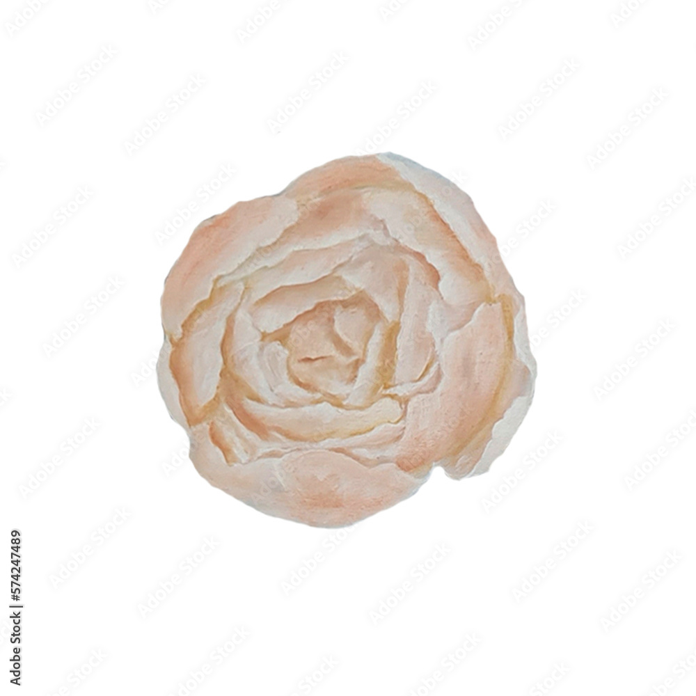 flowers peonies beige,cream big bouquet with green petals background,spring mood decoration flowers peonies beige,cream big bouquet with green petals background,spring mood decoration