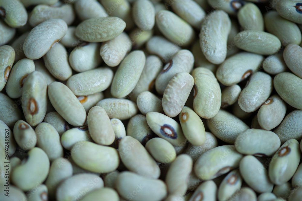 Beans of solid color close-up Beans of solid color close-up