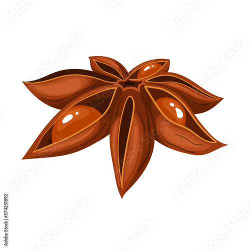 anise brown dry cartoon vector illustration color sign