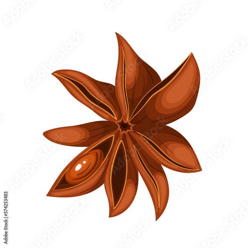 anise brown dry cartoon vector illustration color sign