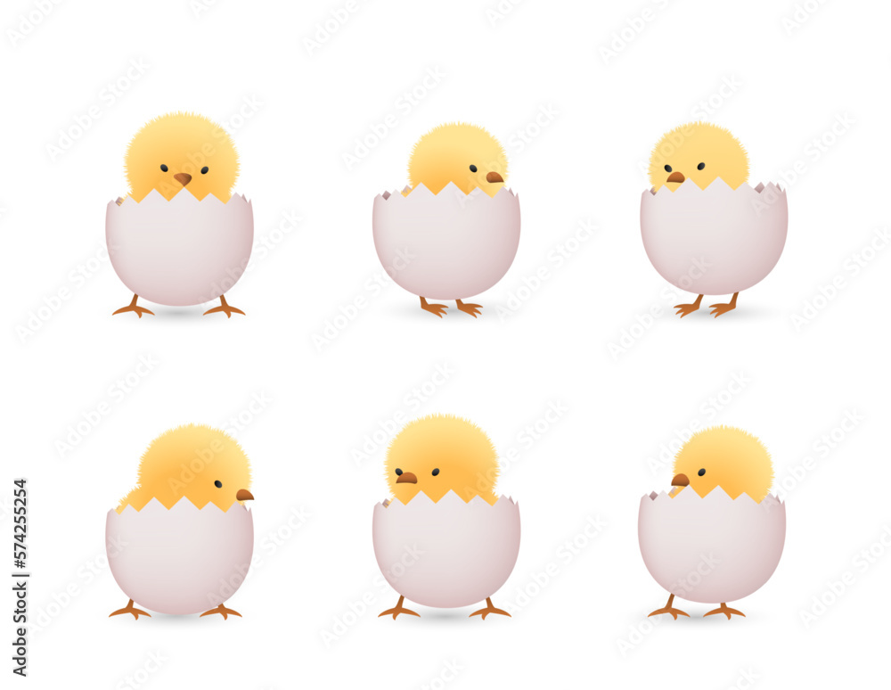Fototapeta premium Chicks in lower part of white broken eggs set