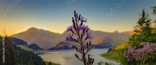 faune et flore paysage fond   cran