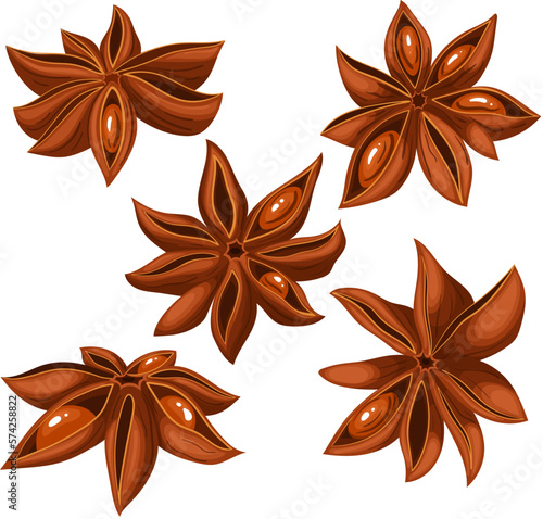 anise star brown dry set cartoon vector illustration color sign