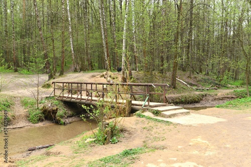 Spring forest with small green leaves, a river with a bridge on it