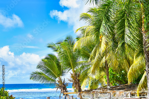 Seychelles beach with palm trees during the summer season © Nils