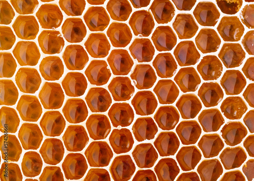 close-up of honeycombs with honey