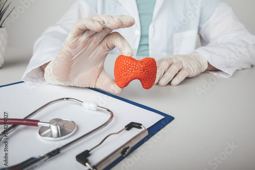 Endocrinologist holding model of thyroid. Health check concept photo