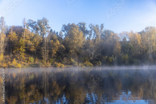 Trees and fog in the morning in autumn
