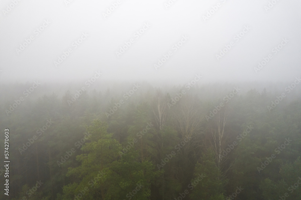 A stunning drone photo of a summer forest shrouded in thick fog. The mist creates a serene and tranquil setting, with an quality that enhances the natural beauty of the landscape. A stunning drone photo of a summer forest shrouded in thick fog. The mist creates a serene and tranquil setting, with an quality that enhances the natural beauty of the landscape.
