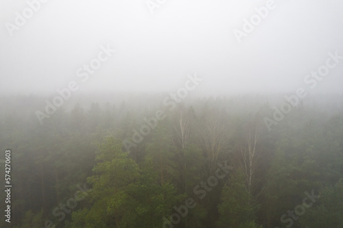 A stunning drone photo of a summer forest shrouded in thick fog. The mist creates a serene and tranquil setting, with an quality that enhances the natural beauty of the landscape.