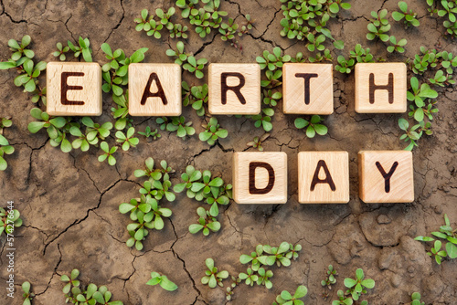 Cracked soil plants letter block toy cube wood text Earth day on dry ground plant sprout. Environment day on dry earth plant soil dry dirt. Crack earth word block wooden cubes on cracked ground plant