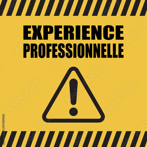 Logo expérience professionnelle.