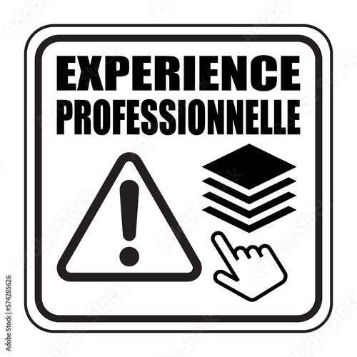 Logo expérience professionnelle.