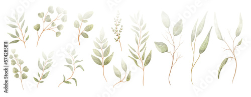 Set of watercolor green leaves elements. Collection botanical vector isolated on white background suitable for Wedding Invitation, save the date, thank you, or greeting card.