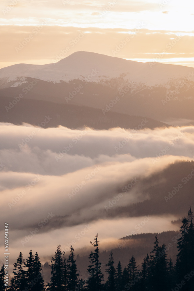 Dragobrat, Ukraine mountain landscape with fog and fir trees. Dragobrat, Ukraine mountain landscape with fog and fir trees.