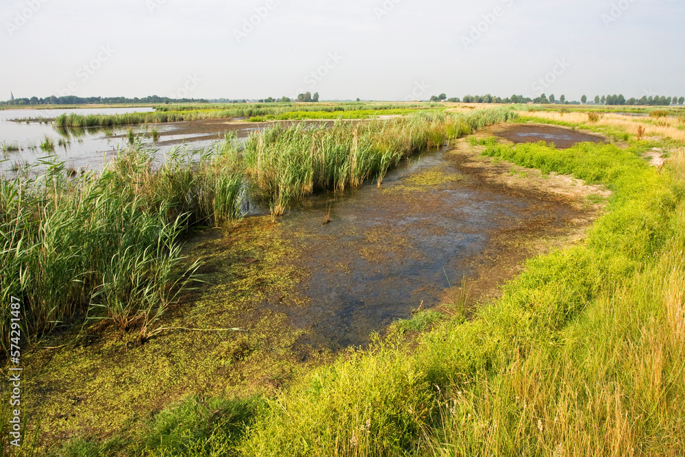 Groene Jonker, Zevenhoven, Netherlands