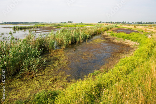 Obraz na płótnie Groene Jonker, Zevenhoven, Netherlands w salonie