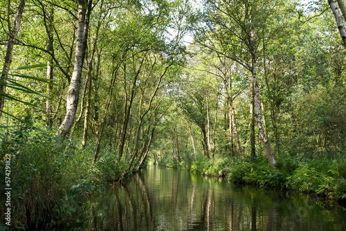 Weerribben, Overijssel, Netherlands