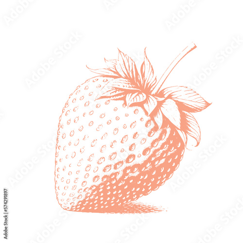 Hand drawn strawberry icon. Vector badge fruit in the old ink style for brochures, banner, restaurant menu and market