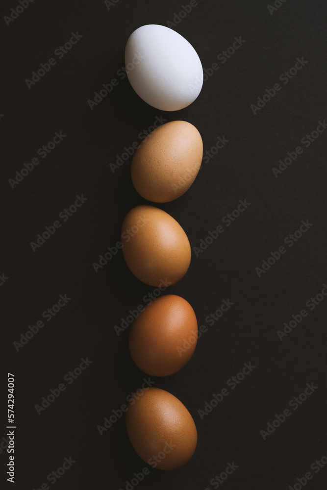 Color gradient from white to brown eggs in a row on black background Color gradient from white to brown eggs in a row on black background