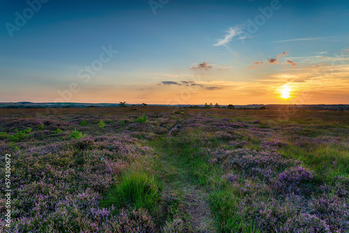 Sunset over Winfrith Heath