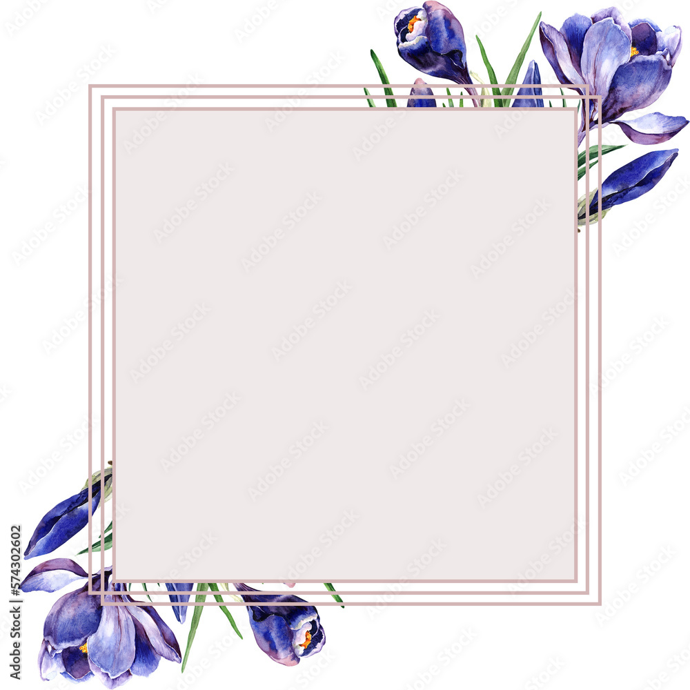 Spring floral square frame. Composition with blooming spring crocuses. Hand drawn watercolor illustration on white background for design of cards, wedding invitations, labels with place for text.