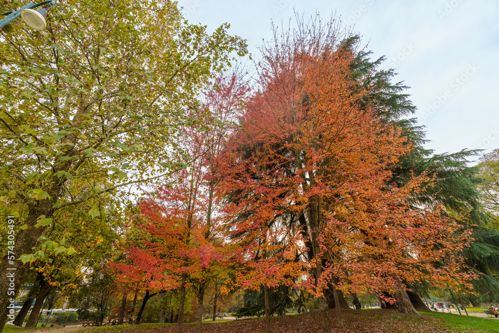 Sempione park in Milan at fall Sempione park in Milan at fall