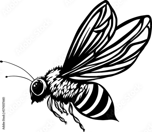 Black and White Honey Bee Insect for Stickers and Bee Decal. Bee Line Art Illustration