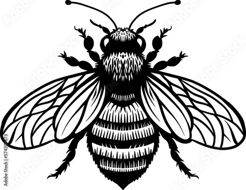 Black and White Honey Bee Insect for Stickers and Bee Decal. Bee Line Art Illustration