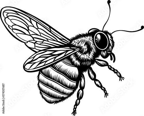 Black and White Honey Bee Insect for Stickers and Bee Decal. Bee Line Art Illustration