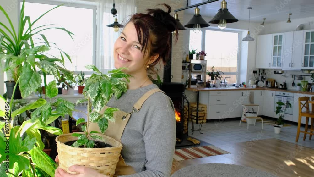 A happy woman in a green house with a potted plant in her hands smiles, takes care of a flower. The interior of a cozy eco-friendly house, a fireplace stove, a hobby for growing and breeding homeplant A happy woman in a green house with a potted plant in her hands smiles, takes care of a flower. The interior of a cozy eco-friendly house, a fireplace stove, a hobby for growing and breeding homeplant