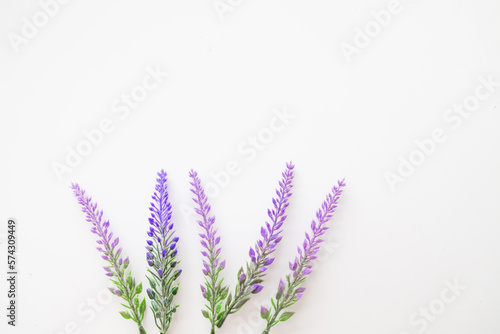 Lavender flowers and leaves creative frame on white background. Top view, flat lay. Flower composition and design. Healthy food and alternative medicine concept