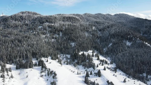 Aerial winter view of Rhodope Mountains around village of Stoykite and Pamporovo, Smolyan Region, Bulgaria photo