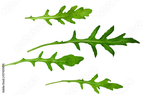 arugula leaves