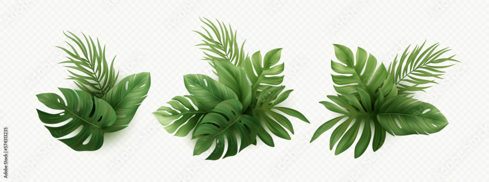 Set of Realistic Palm Tropical Leaves Isolated on White Background. Tropical monster leaf, palm, banana, exotic plants. Elements for Summer Tropic Design. Vector Illustration - obrazy, fototapety, plakaty 