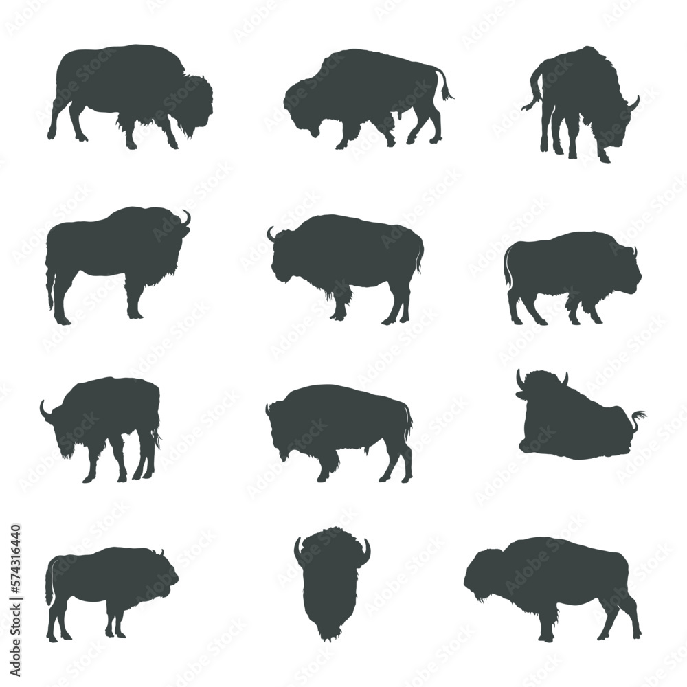 Fototapeta premium Bison buffalo silhouettes, Bison buffalo animals silhouette