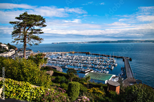 Torquay, south devon coast, United Kingdom. Seaside town in Devon, England. Pine tree on a hill overlooking the bay. Royal Terrace Gardens  in English Riviera. Torquay's seafront with stunning views. photo