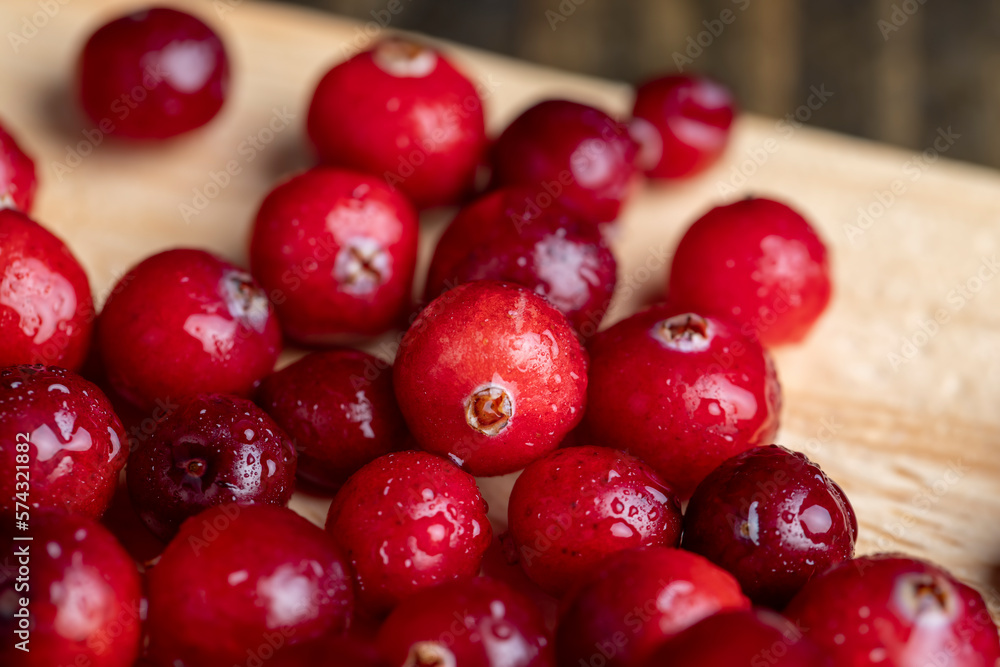 fresh ripe cranberries with drops of pure water fresh ripe cranberries with drops of pure water