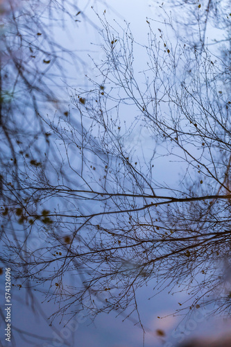 Reflections of branches and blue sky in water. Finland 