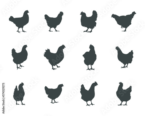 Chicken hen silhouette, Hen chicken silhouette set, Chicken silhouettes