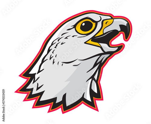 Gyrfalcon Mascot Head, Largest Falcon Bird